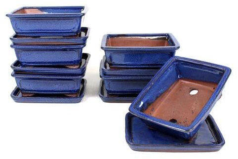 PLANETA HUERTO | Tiesto Bonsái Rectangular 20 cm con Plato Azul – Maceta Elegante y Funcional para Bonsáis Pequeños