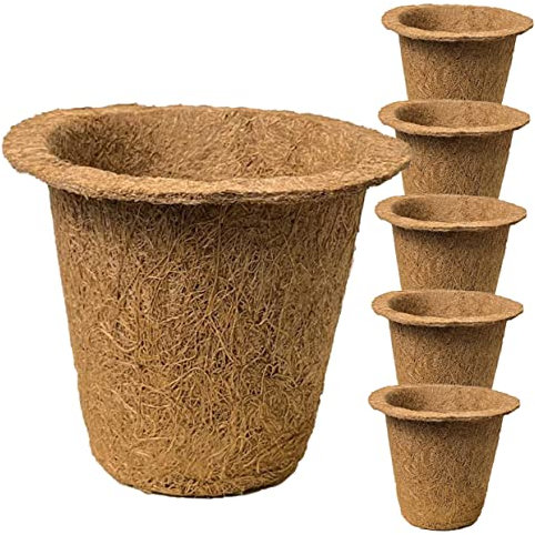 YARNOW 6st Kokosnuss-palmen-sämling-Cup Pflanzenbehälter Blumentopf Fürs Büro Garten Blumentopf Saftige Töpfe Kinderzimmertopf Kokosblumentöpfe Dekorative Pflanzentöpfe Light Brown