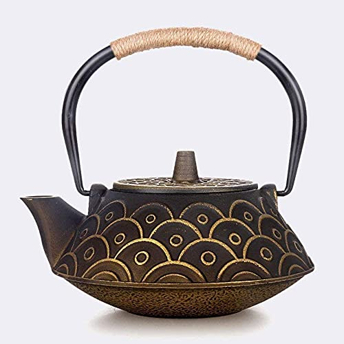 OQHAIR Service à thé en Fonte, Service à thé en Fonte, Pot en Fonte, Pot en Fer, écailles de Poisson du sud, Bouilloire Non revêtue Faite à la Main avec passoire 0 9L, décoration de la ma