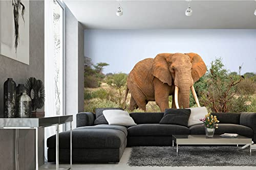 Vlies Fototapete ELEFANT IN DER SAVANNE 375 x 250 cm (inkl. Kleister) - Vlies Tapete, Wandtapete, Wandbilder - Tapete für Wohnzimmer Schlafzimmer, Büro, Küche - Montagefertig