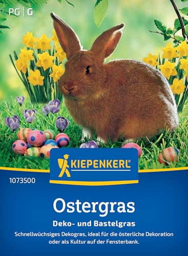 Kiepenkerl Ostergras Deko- und Bastelgras 1073500, Rasensaat | Als Osterdekoration, Grassamen