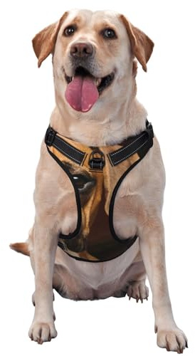 Chien Boxer,Harnais pour Animaux de Compagnie, Harnais réfléchissant réglable pour Chien,S