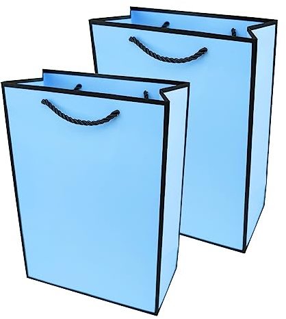 PACK4YA Sacchetti regalo di carta con nastro fiocco, sacchetto regalo con manico per compleanno, matrimonio, festa di Natale, shopping, baby shower, 20 x 10 x 28 cm (blu, cornice nera, 2 pezzi)