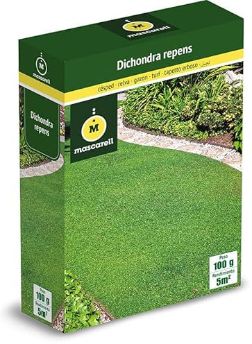 Mascarell Semillas, DICHONDRA REPENS, Semillas de Césped, Verde y Duradero, Compacto y Resistente, 100g