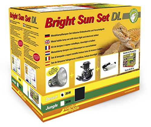 Lucky Reptile Bright Sun Set DL Desert - 35 W Metalldampflampe inklusive Einbauleuchte & Vorschaltgerät - Reptilien Lampe mit sonnenähnlichem Lichtspektrum - Terrarium Zubehör - UV-Set in schwarz