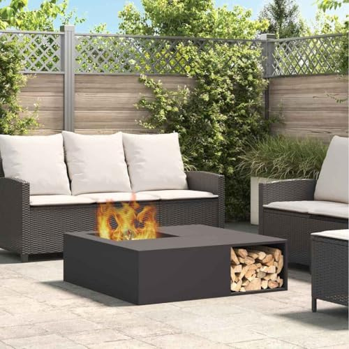 Generico Focolare Nero 100 x 100 x 30 cm Acciaio Laminato a Freddo,Caminetti-859000