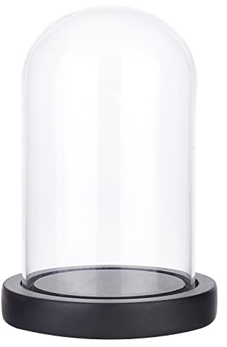 NBEADS Eternal Flower Glass Display Dome, Half Round Clear Glass Jewelry Display Case Bell Jar Cloche for Home Decoration, Black