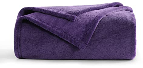 Aisbo Kuscheldecke Flauschig Decke Violett - Fleecedecke 150x200 cm Sofadecke Couchdecke, Weich Kuschelige Wohndecke Lila für Wohnzimmer Sofa Couch Blanket Warme Decke XL
