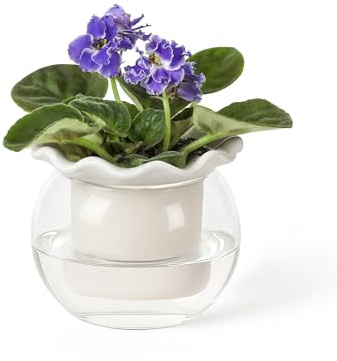 Fayoula 6 Inch African Violet Pots Maintenance, Glass Self-Watering Planter for Indoor Plants - Ideal Flower Pot for Thriving Indoor Gardens, Pots Only (Version 2)