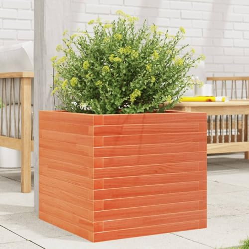 ZEYUAN Pflanzkübel Wachsbraun 50x50x45,5 cm Massivholz Kiefer, Blumentopf Gross, Blumenkasten Balkon, übertopf, Pflanzkasten, Flowerpot, Kräuterbeet Für Die Küche, Vertikalbeet - 847245