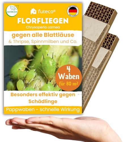 Florfliegenlarve gegen Blatt-/Wollläuse, Spinnmilben & Thripse – 4 Waben | für ca. 80 m² - Wabe für besonders schnellen Effekt - starke Wirkung bei Gemüse-, Cannab.- & Zierpflanzen