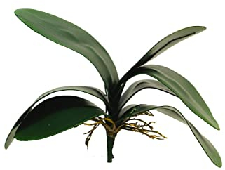 artplants.de Kunstblätter Phalaenopsis Orchidee XIAOQIN mit Luftwurzeln, 30 cm - Orchidee Kunststoff Blätter