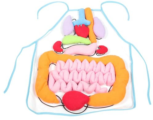 Vaguelly 1 Satz Orgelschürze 3D-schürzenspielzeug Kinderwerkzeuge Kleinkindschürze Kinderanzüge Organe Schürze des Menschlichen Körpers Unterrichtsschürze Vorschule Polyester Junge Vorgeben