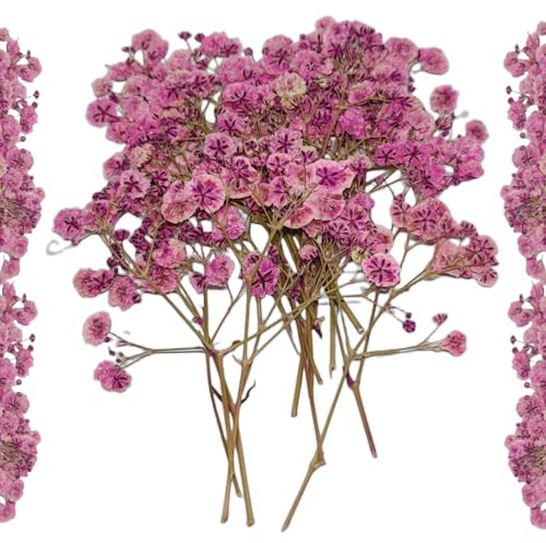 Trockenblumen zum Basteln Getrocknete Schleierkraut - 10 Stück Gepresste Baby’s Breath Deko Blumen Rosa für DIY, Kerzen, Harz, Schmuck, Nagelkunst & Deko Hochzeitsgeschenk