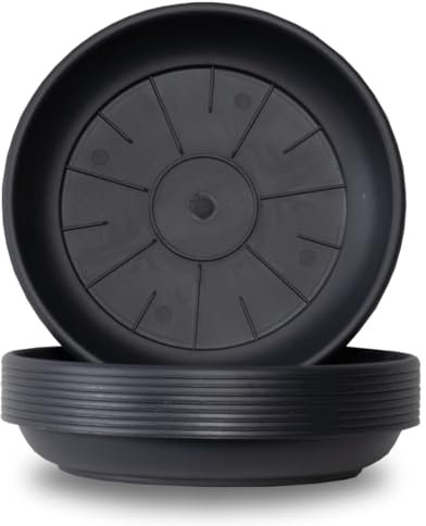 Weedness Soucoupe Ronde Domus 16 cm Noire – Soucoupe Plastique résistante pour Pot