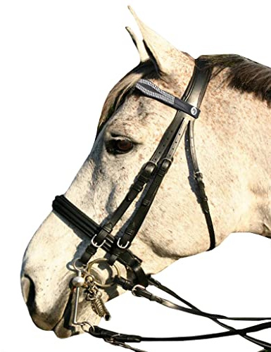 Saddles World Fancy Leather White Two Center Line Pearl with Clear Crystals Browband (Pony, Black)