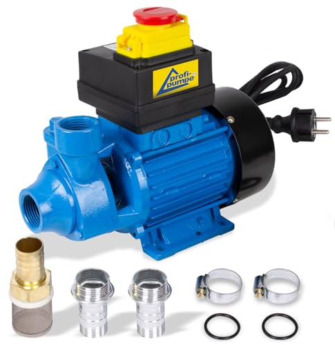 DIESELPUMPE 230V SELBSTANSAUGEND 2.400 L/h HEIZÖLPUMPE MOTOR mit 600 Watt Profi 600-4 mit Zubehör Umdrehungszahl: 2.800 U/Minute 1,2m Kabel Max. Fördermenge 41 L/Minute Max. Förderhöhe 41 Meter