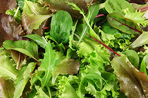 Viridis Hortus - Lettuce BabyLeaf Mesclun Mix - 10,000 (9.85g's) - A Blend of Salad Leaf Mix Lettuce Seeds