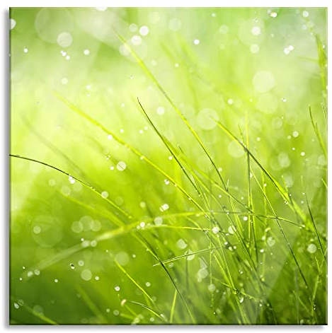 Pixxprint Glasbild, Wandbild auf Echtglas, Nasses Gras, 80x80 cm, inkl. Aufhängung und Abstandshalter
