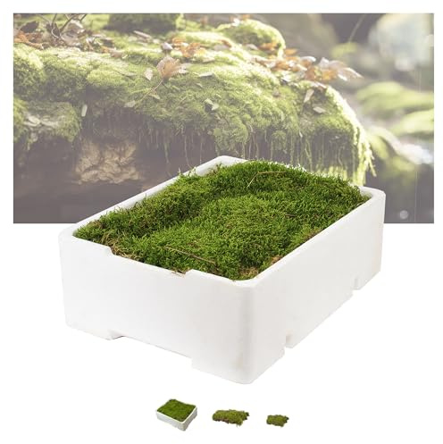 IFLO® Echtes Plattenmoos – Natürliche Moosplatten zum Basteln & Dekorieren, Deko-Moos für Terrarium, Moosbilder, Mooswand, Krippen, Größe: 40x30 cm pro Lage, 1 Kiste
