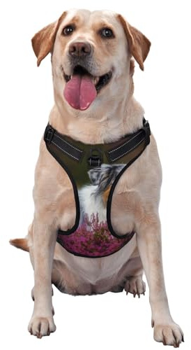 Australischer Schäferhund, Haustiergeschirr, Verstellbares reflektierendes Hundegeschirr, Haustierleinenweste,M