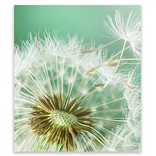 SMTDeco Herdabdeckplatte 45×52 cm – Mehr Arbeitsfläche, Spritzschutz & Schneidebrett – ESG Glas, kratzfest – für Induktion/Ceranfeld – 1-teilig, Motiv Blumen Grün