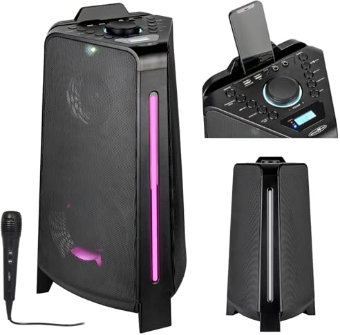 REFLEXION Tragbarer, wiederaufladbarer Lautsprecher mit FM/USB/Bluetooth/Mic, Aux und LED Lichtern, ideal für Party, Camping, Boot und Outdoor