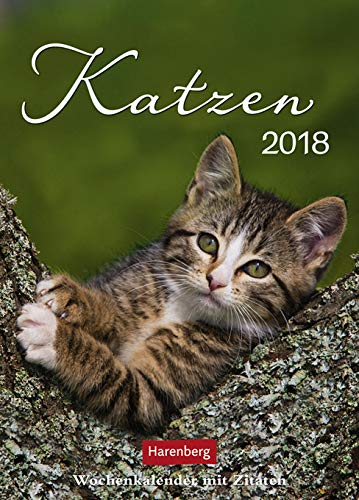 Katzenglück Wochenkalender 2024. Jede Woche eine süße Katze in dem kleinen Fotokalender. Passende Zitate und niedliche Fotos machen diesen Wandkalender zum echten Blickfang!: mit Zitaten