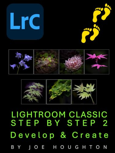 Lightroom Classic Step by Step 2: Develop & Create (Houghton Photography Guides)