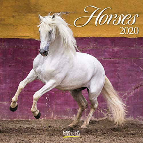 Horses 2021: Broschürenkalender mit Ferienterminen. Pferde und Ponys. 30 x 30 cm