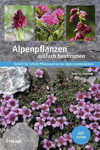 Alpenpflanzen einfach bestimmen: Schritt für Schritt Pflanzenarten der Alpen kennenlernen