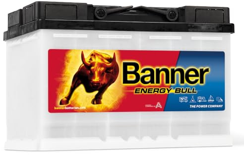 Banner Energy Bull 95601-80Ah - 12V