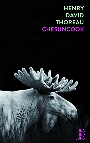Jung u. Jung