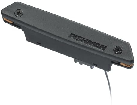 Fishman Rare Earth Single Coil Acoustic Guitar Soundhole Pickup, PROREP11, Black