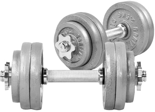 GORILLA SPORTS® Kurzhantelset 30 kg - 2er Set, 12 Hantelscheiben, 2 Kurzhantelstangen mit 4 Sternverschlüssen, 30mm, Gusseisen, rutschfest, Gerändelt, Silber/Schwarz - Kurzhanteln, Kurzhantel Set