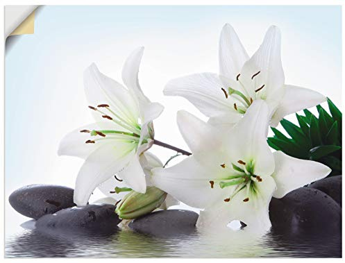 ARTland Wanddeko Wandtattoo selbstklebende Vinylfolie 80x60 cm Asiatische Motive Zen Asien Asiatisch Steine Lilien Blüten T5LS