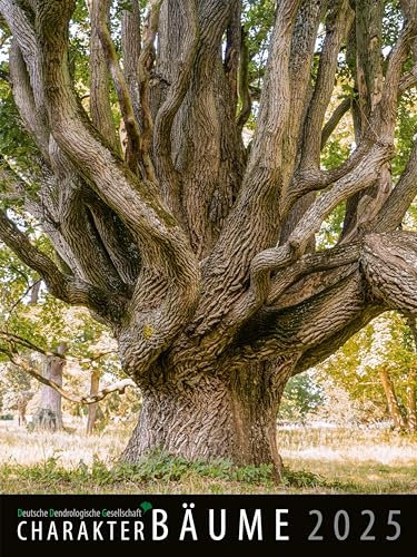 Charakter-Bäume 2025: Wandkalender