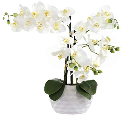 DECOLINE Kunstpflanze Orchidee XL mit Keramiktopf - ca. 53cm hoch (Blüten weiß - Topf weiß)