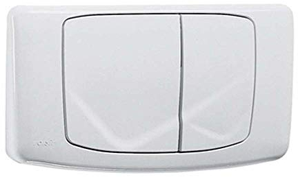 Valsir Plaque de Commande Double pour Chasse d'eau Rios Blanche, Multicolore, Standard