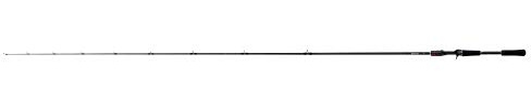 Shimano Zodias Casting 2,03m 4-12g Spinnrute