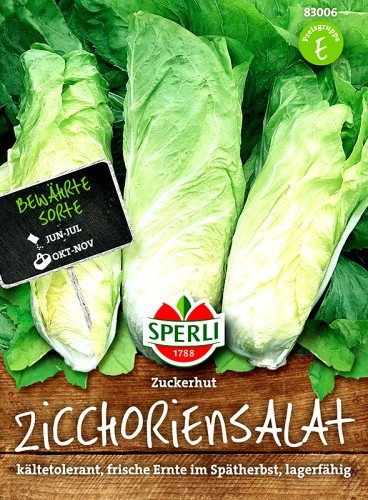 Sperli 4001523830064 Zichoriensalat Zuckerhut Saatgut