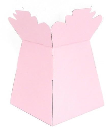 APAC Pink Living Vase Flower Box Flower Bouquet Transporter, Sweet Tree Box