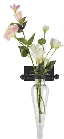 Danya B MC016 - Jarrón decorativo para pared (cristal ánfora, apliques de hierro con remates, transparente