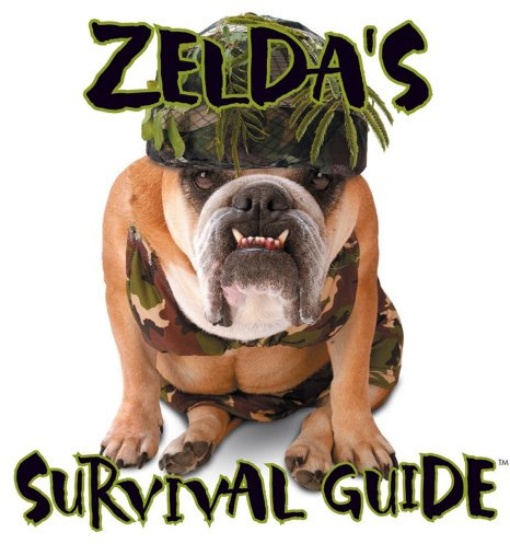Zelda's Survival Guide