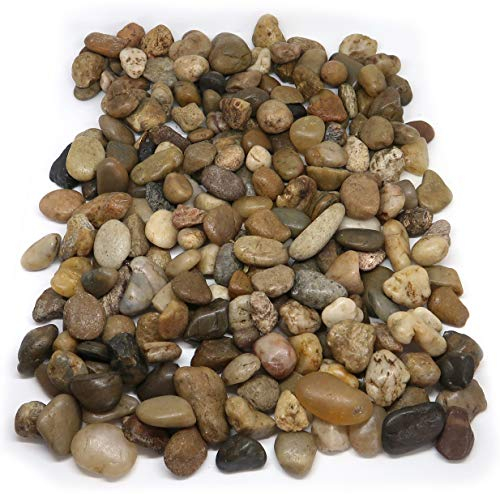 1Buy UK 1kg New Assorted Browns Natural Decorative Stones Pebbles Craft Table Decoration Pot Vase Fillers Garden Weddings Rocks Aquarium