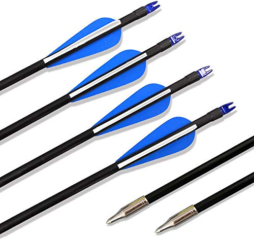 SHARROW 12 Stück Bogenschießen Fiberglaspfeile Bogen und Pfeile 31 Zoll Bogenpfeile Spine 500 Fiberglas Pfeile für Recurvebogen und Compound Bogen Zielübungspfeile (Blau)
