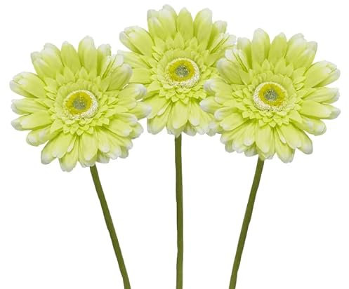 VIRSUS 3 Gerbere Artificiali Margherite Giganti in Tessuto 8013, Fiori finti, gambo lungo, composizione floreale decorazioni, bouquet nozze regalo matrimonio, feste eventi, Vari Colori (Verde)