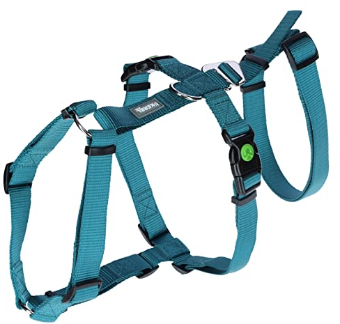 Kerbl Panikgeschirr Miami (Farbe Petrol, Halsumfang 30 - 41 cm, Brustumfang 42 – 55 cm, Bauchumfang 34 – 53 cm, Geschirr) 80041