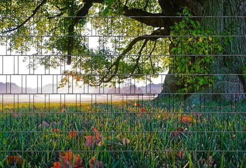 Perfect Zaunsichtschutz Panorama - Motiv Baum1 - Sichtschutz für den Garten - 2,50 x 1,80 x 0,19 m - 9 Streifen