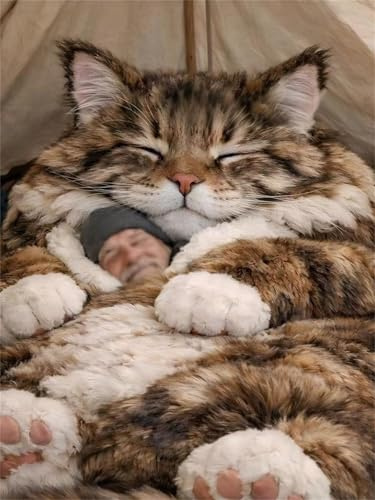 Sacco A Pelo Per Adulti E Bambini Con Motivo Gatti, Adorabile Sacco A Pelo A Forma Di Busta Con Gatti, Morbido Sacco A Pelo in Peluche Lavabile, Coperta Calda Per Campeggio, Pigiama, Viaggi, Casa,B